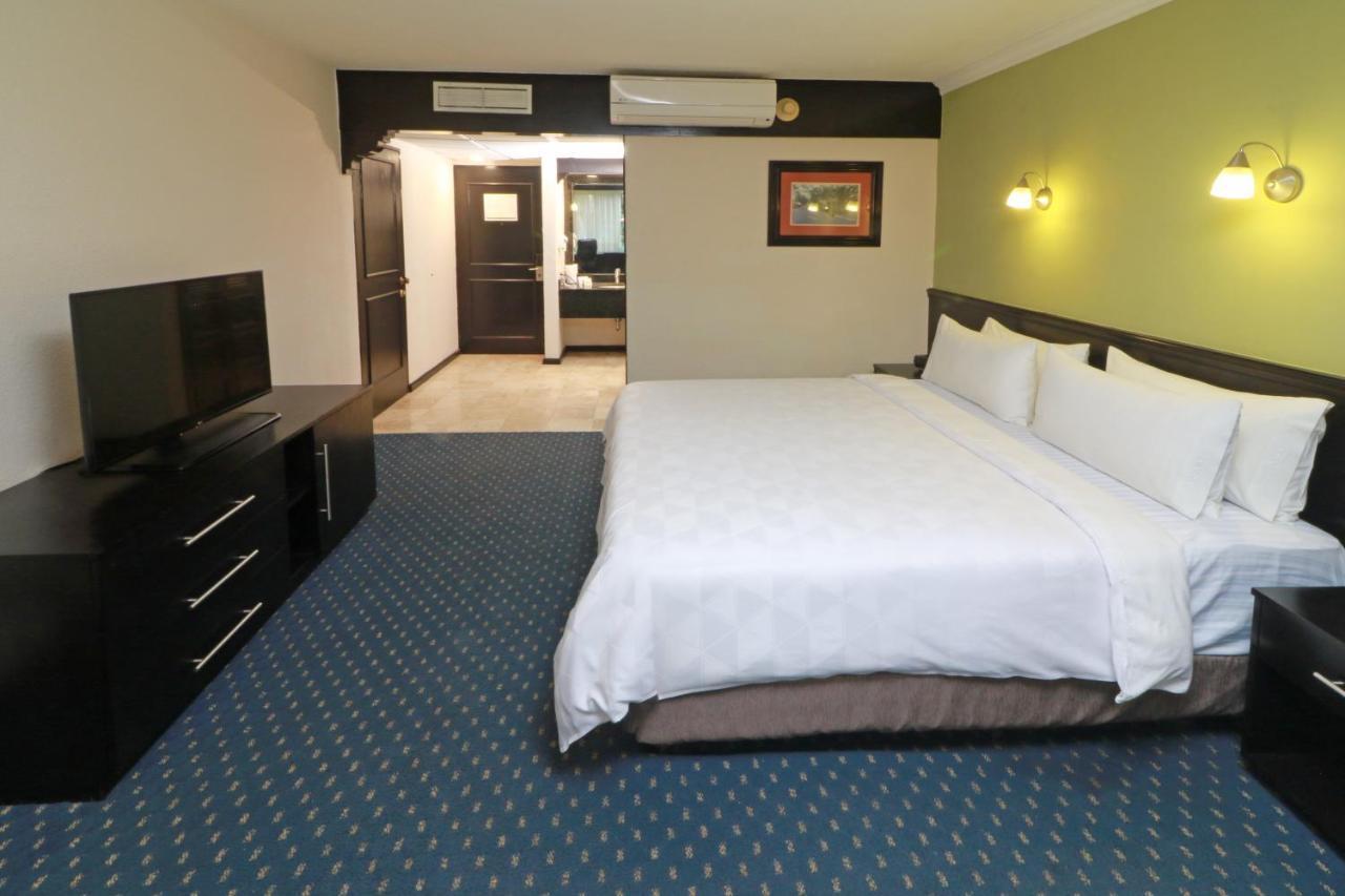 Holiday Inn San Luis Potosi-Quijote By Ihg Exterior photo