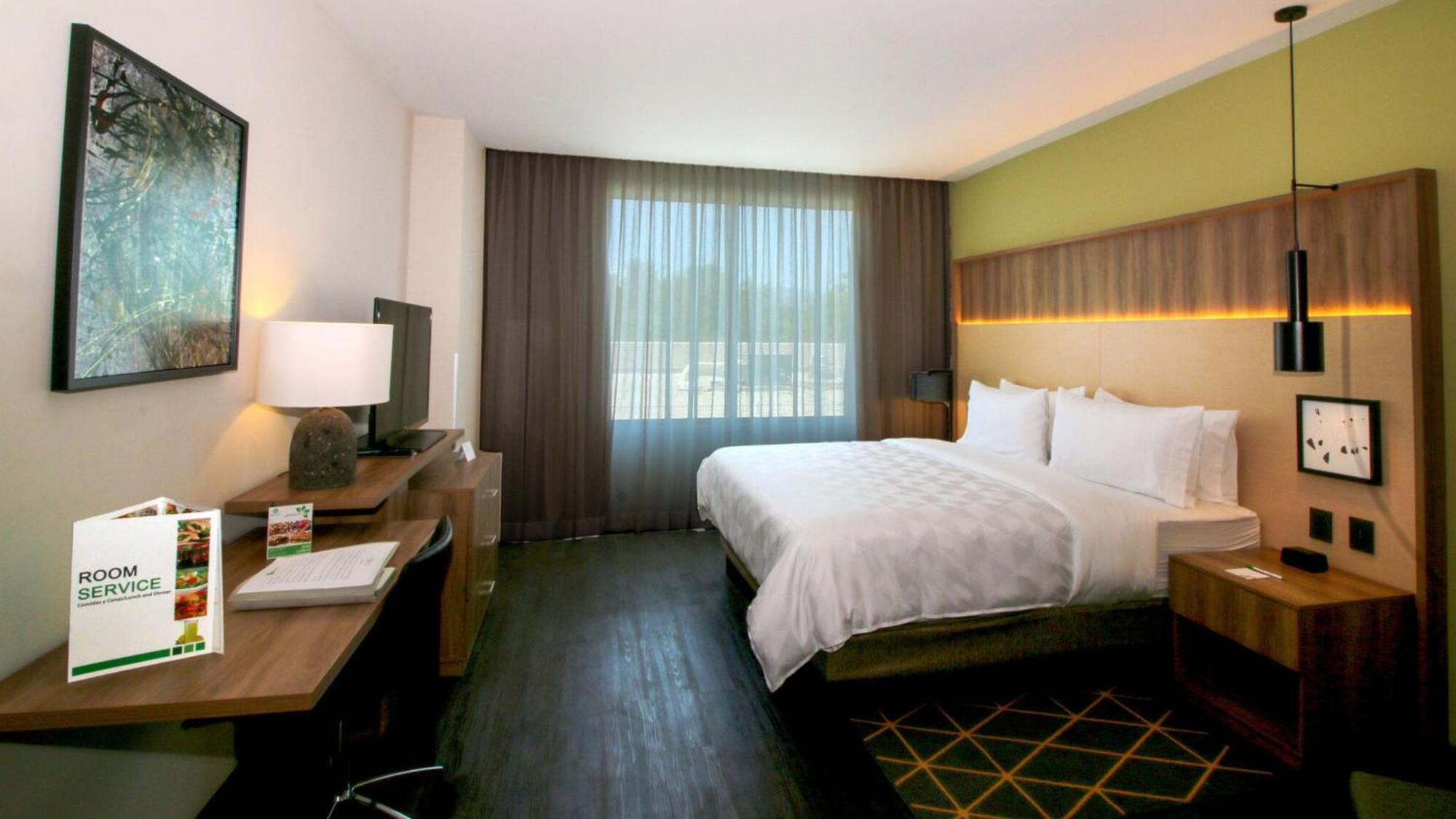 Holiday Inn San Luis Potosi-Quijote By Ihg Exterior photo